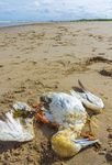 25 CHIFFRES CL&Eacute;S 2019 POUR LA BIODIVERSIT&Eacute; EN BRETAGNE 100 - Les amis de la baie d'Audierne