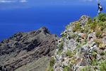 CANARIES Fleurs et volcans de Tenerife
