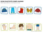 Les parties du corps Th&egrave;me - (Body parts)