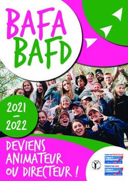 Bafa Bafd 2021 2022 Deviens Animateur Ou Directeur ! - Nord