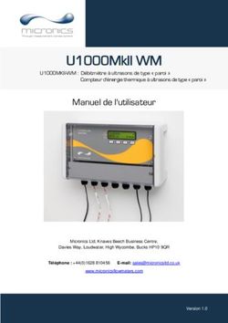 U1000MKII WM - MICRONICS FLOW METERS