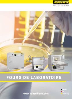 FOURS DE LABORATOIRE www.nabertherm.com - Made in