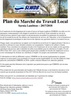 Plan du Marché du Travail Local - Sarnia Lambton 2017/2018