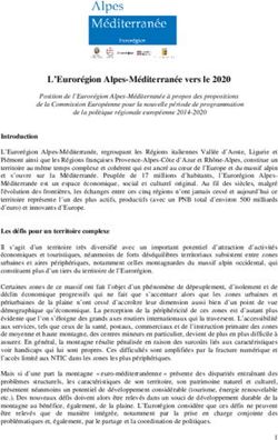 L'Eurorégion Alpes-Méditerranée vers le 2020