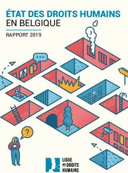 ÉTAT DES DROITS HUMAINS EN BELGIQUE - RAPPORT 2019 - Ligue des Droits Humains