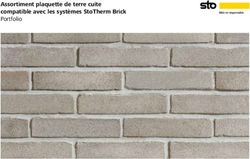 Assortiment plaquette de terre cuite compatible avec les syst&egrave;mes StoTherm Brick Portfolio