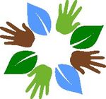 Les Iles Salomon Introduction - Global Forest Coalition