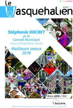 Stéphanie DUCRET Conseil Municipal vous présentent leurs 2019 - Ville de Wasquehal