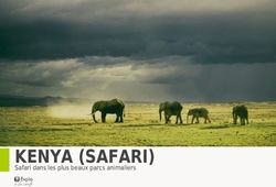 KENYA (SAFARI) Safari dans les plus beaux parcs animaliers - Explorateur voyages