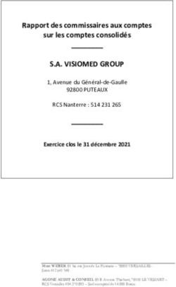 S.A. VISIOMED GROUP Rapport des commissaires aux comptes sur les comptes consolidés