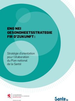 ENG NEI GESONDHEETSSTRATEGIE FIR D'ZUKUNFT : Stratégie d'orientation pour l'élaboration du Plan national de la Santé - SANTE.lu