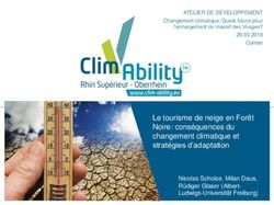 Le tourisme de neige en Forêt Noire: conséquences du changement climatique et stratégies d'adaptation