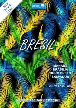 BRESIL RIO MANAUS BRASILIA OURO PRETO SALVADOR - AMEMI VOYAGE