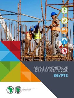 ÉGYPTE REVUE SYNTHÉTIQUE DES RÉSULTATS 2018 - African Development Bank
