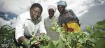 Femmes rurales: la recherche d'effets transformateurs sur les in&eacute;galit&eacute;s entre les sexes - FAO