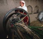 Femmes rurales: la recherche d'effets transformateurs sur les in&eacute;galit&eacute;s entre les sexes - FAO