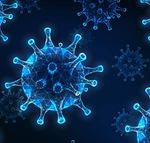 Avis pour l'op&eacute;rationnalisation de la Strat&eacute;gie de vaccination COVID-19 pour la Belgique - Taskforce op&eacute;rationnalisation de la Strat&eacute;gie de ...