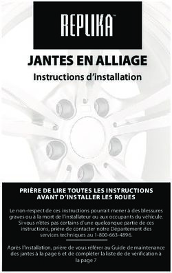 JANTES EN ALLIAGE Instructions d'installation - Replika