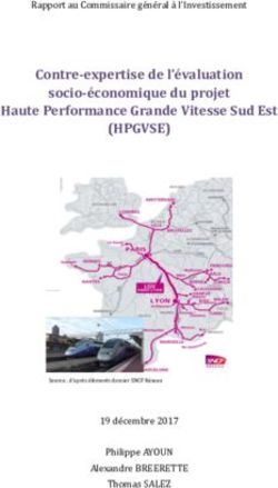 (HPGVSE) Contre-expertise de l'évaluation socio-économique du projet Haute Performance Grande Vitesse Sud Est - Gouvernement