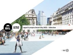 Appel à projets Smart City 2021 - Sélection - Ville de Bruxelles