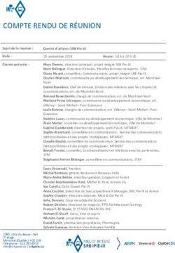 COMPTE RENDU DE RÉUNION - STM