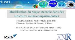Mod&eacute;lisation du risque incendie dans des structures multi-compartiment&eacute;es - Nina Dizet (CIFRE ANRT/RS2N, 2018-2021) Directeurs de th&egrave;se : B ...
