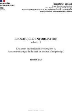 BROCHURE D'INFORMATION - relative à L'examen professionnel de catégorie A Avancement au grade de chef de travaux d'art principal ...
