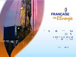 PLAN DE DÉVELOPPEMENT LORRAINE - Valoriser en circuits courts le gaz issu du charbon - Française de l'Energie