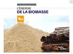 DE LA BIOMASSE L'&Eacute;NERGIE - FILI&Egrave;RE D'&Eacute;NERGIE RENOUVELABLE - Hydro-Qu&eacute;bec