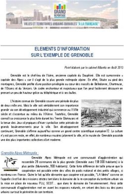 ELEMENTS D'INFORMATION SUR L'EXEMPLE DE GRENOBLE