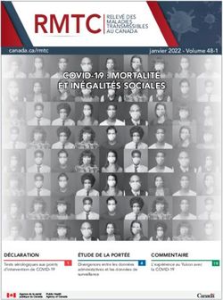 COVID-19 : MORTALIT&Eacute; ET IN&Eacute;GALIT&Eacute;S SOCIALES
