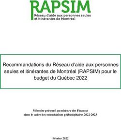 Recommandations Du Réseau D'aide Aux Personnes Seules Et Itinérantes De ...