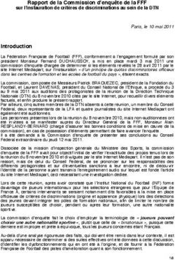 Rapport de la Commission d'enquête de la FFF