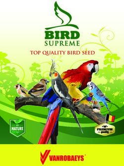 Top quality bird seed - Bird Supreme