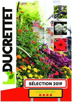 S&Eacute;LECTION 2019 VILLE FLEURIE - Ducrettet