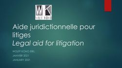 Aide juridictionnelle pour litiges Legal aid for litigation - WOLFF KONO EIRL JANVIER 2021 JANUARY 2021 - Luis Wolff kono