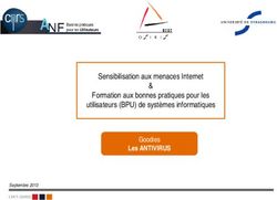 Sensibilisation aux menaces Internet & Formation aux bonnes pratiques pour les utilisateurs (BPU) de syst&egrave;mes informatiques - Les ANTIVIRUS
