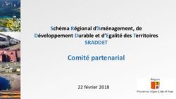 Comité partenarial SRADDET - Schéma Régional d'Aménagement, de Développement Durable et d'Egalité des Territoires - Comité Régional ...