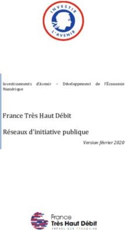 France Très Haut Débit Réseaux d'initiative publique - Investissements d'Avenir - Développement de Numérique l'Économie