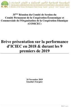 Brève présentation sur la performance d'ICIEC en 2018 & durant les 9 premiers de 2019 - comcec