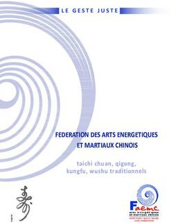 FEDERATION DES ARTS ENERGETIQUES ET MARTIAUX CHINOIS - taichi chuan, qigong, kungfu, wushu traditionnels - Faemc