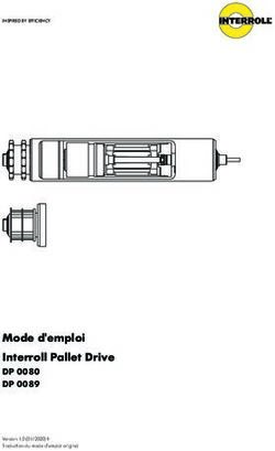 Mode d'emploi Interroll Pallet Drive - DP 0080 DP 0089