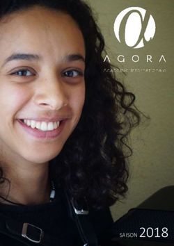 SAISON 2018 - Vincent Lhermet, accord&eacute;oniste