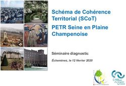 SCH&Eacute;MA DE COH&Eacute;RENCE TERRITORIAL (SCOT) PETR SEINE EN PLAINE CHAMPENOISE - S&Eacute;MINAIRE DIAGNOSTIC