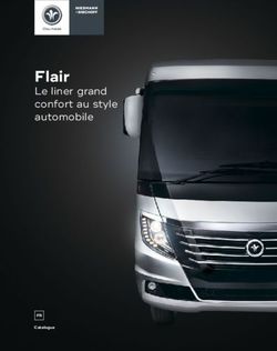 Flair Le liner grand confort au style automobile - Niesmann & Bischoff
