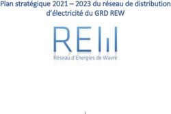 Plan strat&eacute;gique 2021 - 2023 du r&eacute;seau de distribution d'&eacute;lectricit&eacute; du GRD REW