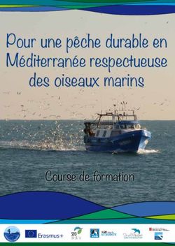 Pour une p&ecirc;che durable en M&eacute;diterran&eacute;e respectueuse des oiseaux marins - Course de formation - SEO Birdlife