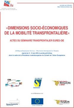 "DIMENSIONS SOCIO-&Eacute;CONOMIQUES DE LA MOBILIT&Eacute; TRANSFRONTALI&Egrave;RE" - Christian Wille