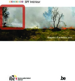 SPF Intérieur - Rapport d'activités 2011 - SPF Intérieur