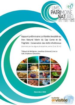 Rapport pr&eacute;liminaire La Plan&egrave;te Revisit&eacute;e au Parc Naturel Marin du Cap Corse et de l'Agriate : Conservation des r&eacute;cifs infralittoraux
